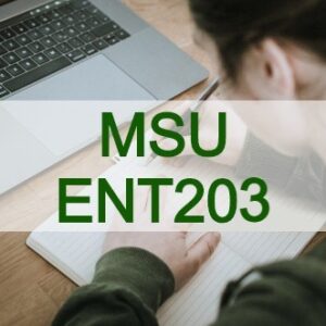 Missouri State Students ENT203