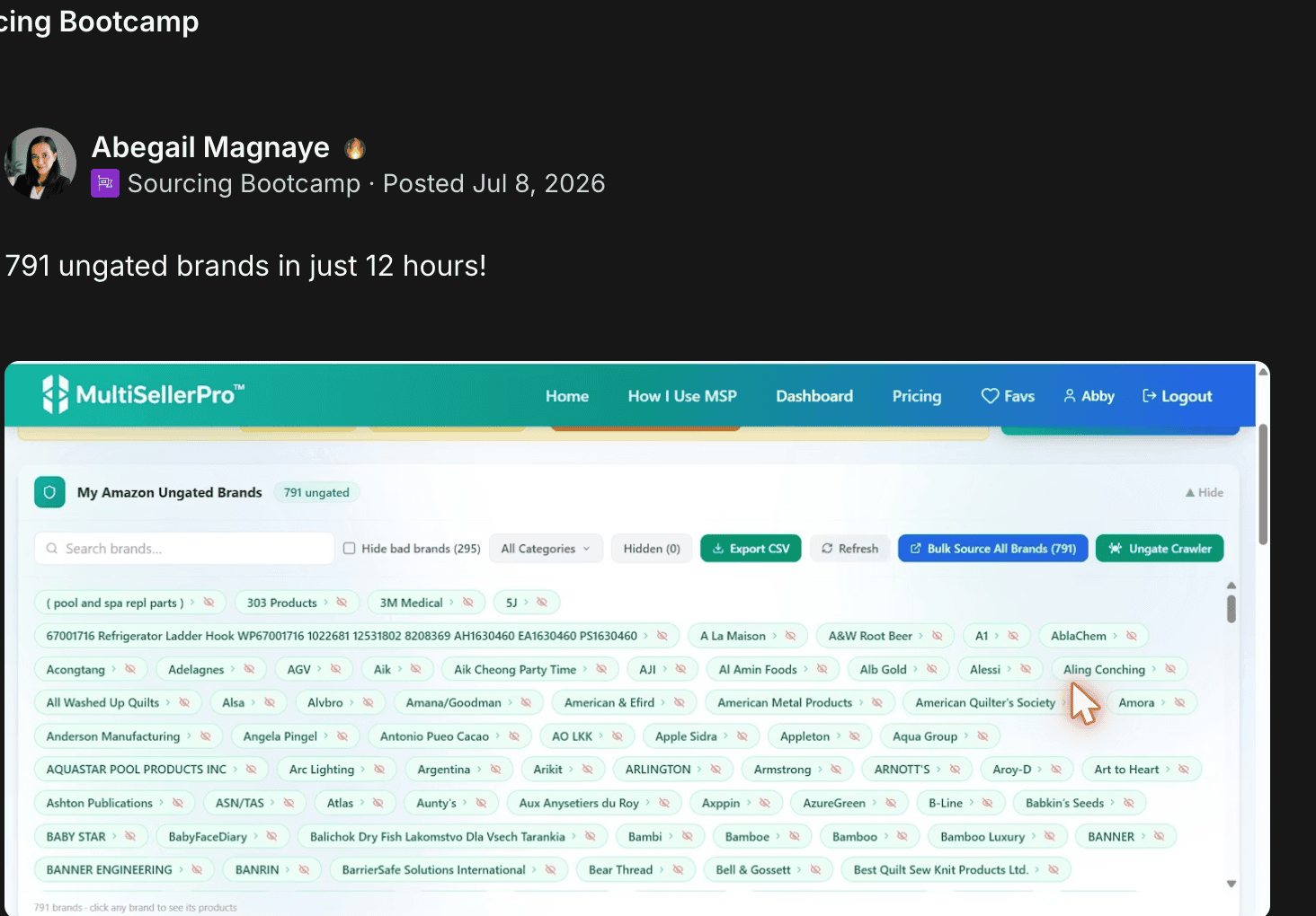 Abegail Magnaye — 791 brands in 12 hours